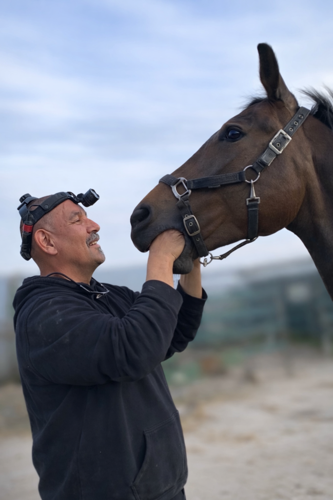 6. Elk paard is een individu