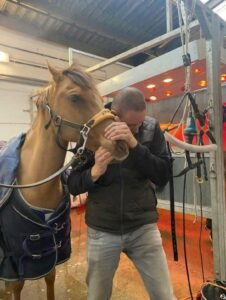 Afbeelding van WhatsApp op 2024 11 17 om 13.40.34 6f6459e8