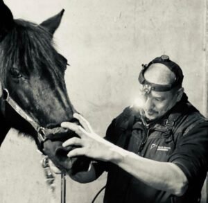 Afbeelding van WhatsApp op 2024 11 17 om 13.40.45 3fe8be41