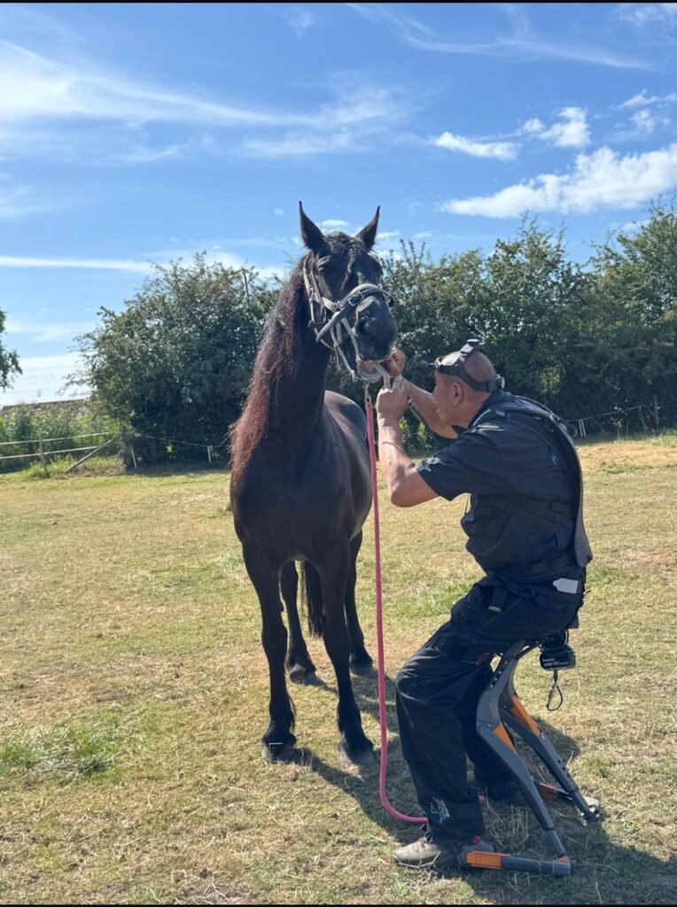 5. De omgeving doet ertoe