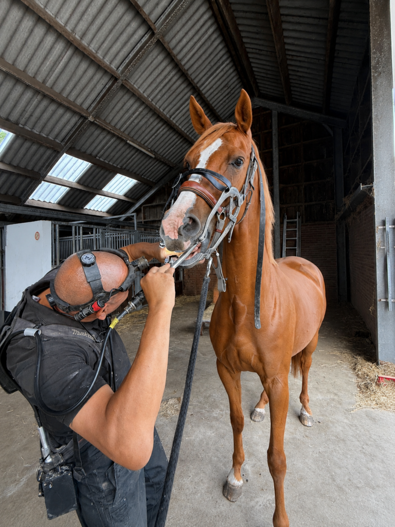 27. Waarom kauwt mijn paard anders na een gebitsbehandeling?