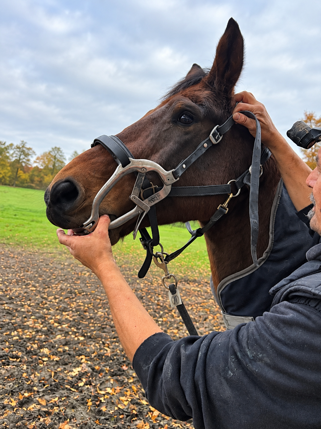 Marnix Brandes houdt de mondspreider vast tijdens een gebitsbehandeling bij een paard buiten.