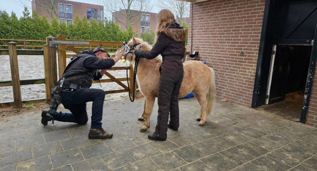 105. Mijn agenda heeft tijden. Een paard heeft tijd nodig.