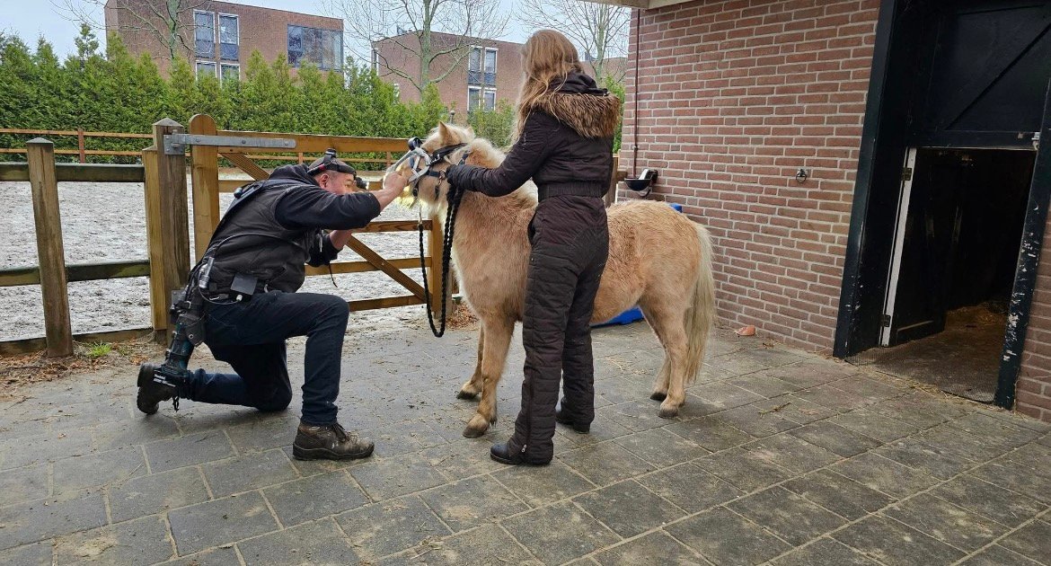 Paardentandarts Marnix Brandes controleert op één knie het gebit van een kleine pony, terwijl de eigenaar erbij staat.